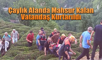 Çaylık Alanda Mahsur Kalan Vatandaş Kurtarıldı