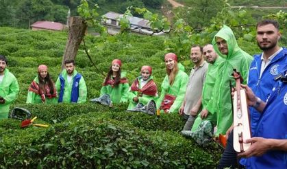Rize'de "Gönüllü Çay Hasadı Etkinliği”