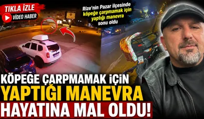 Köpeğe çarpmamak için yaptığı manevra hayatına mal oldu
