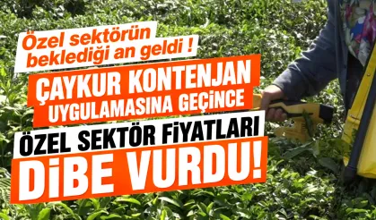 Yaş çay sezonunda özel sektörün beklediği an geldi..!