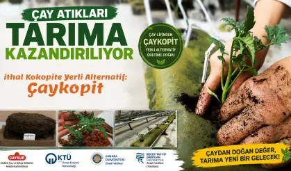 İthal Kokopite Yerli Alternatif: 'Çaykopit'