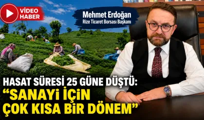 RTB Başkanı Erdoğan: Çay Hasadını Zamana Yaymalıyız