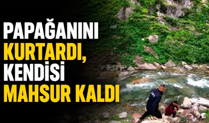 Papağanını kurtardı, kendisi mahsur kaldı