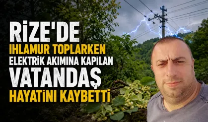 Ihlamur toplarken elektriğe kapılan vatandaş hayatını kaybetti