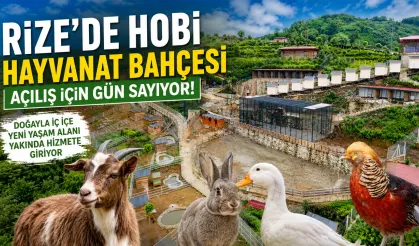 Rize'de Hobi Hayvanat Bahçesi Açılış İçin Gün Sayıyor