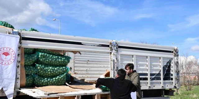 Ardahanlı çiftçilere kavılca buğdayı tohumu ve tohumluk patates dağıtıldı