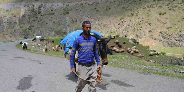 Şırnak’ta göçerler yaylaya ulaştı