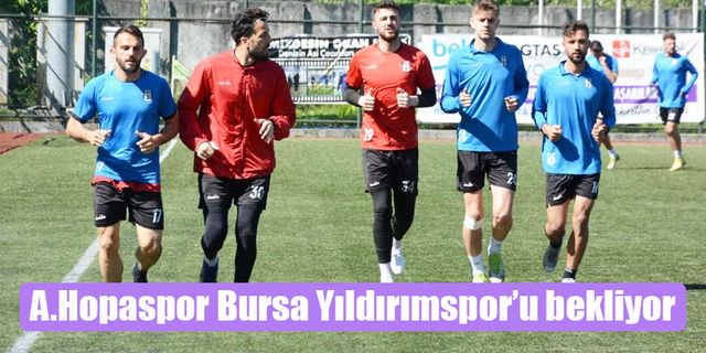 A.Hopaspor 33. haftada Bursa Yıldırımspor'u ağırlayacak