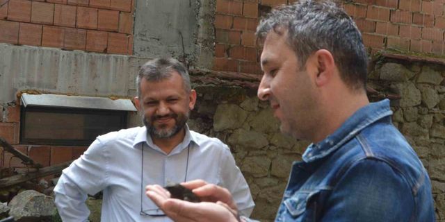 Ender görünen Ebabil kuşu iş yerine ikinci kez geldi