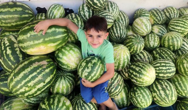 ’Hıdıroz’ karpuzu tezgahlardaki yerini aldı