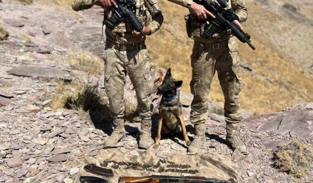 Jandarma ekipleri PKK’ya ait 2 sığınakta çok sayıda silah ve mühimmat ele geçirdi