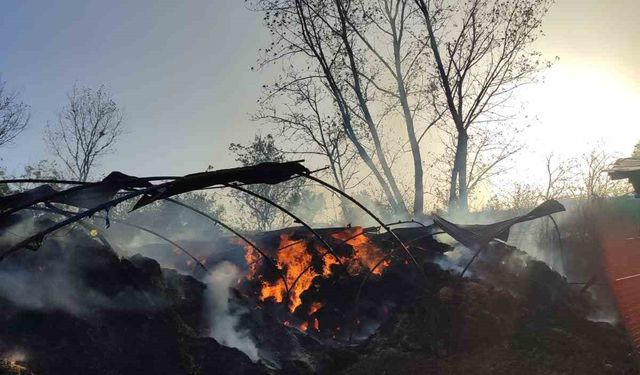 Tekirdağ’da 3 bin balya saman alev alev yandı