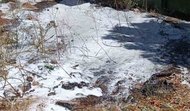 Tunceli’de ot yangınlarını TOMA söndürdü