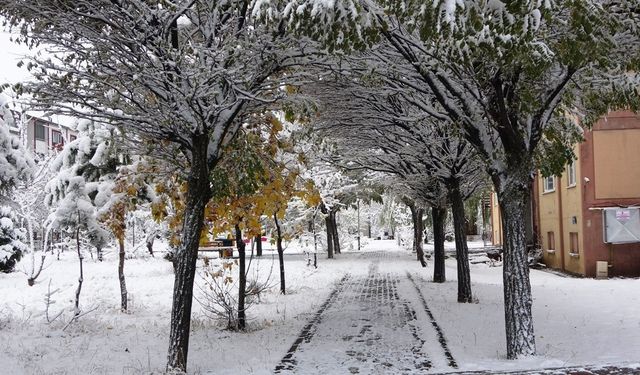 Bitlis’te kar yağışı