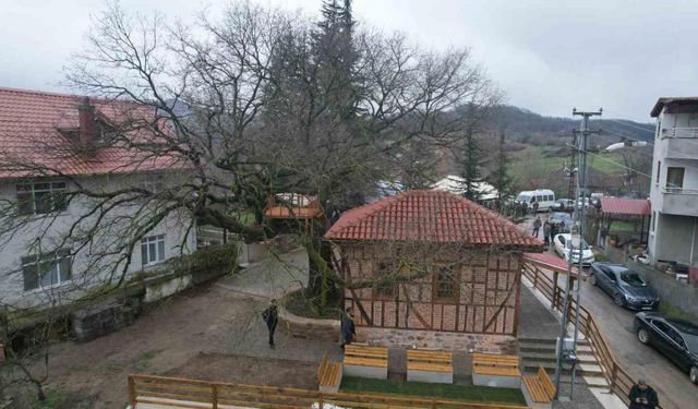 Yalova’da Türkiye’nin en küçük mescidi restore edilerek ibadete açıldı