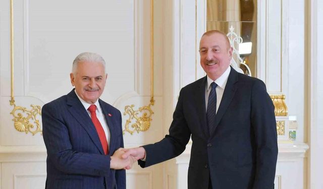 Azerbaycan Cumhurbaşkanı Aliyev, TDT Aksakallar Heyeti Başkanı Yıldırım’ı kabul etti