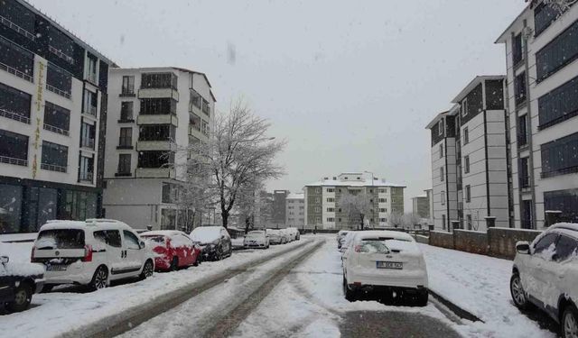 Bingöl merkez ve ilçelerinde mart sonunda kar sürprizi