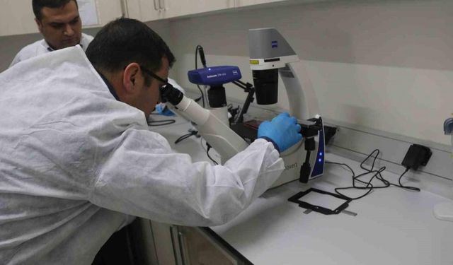 Bitlis Eren Üniversitesinde ‘Hücre Kültürü’ laboratuvarı kuruldu