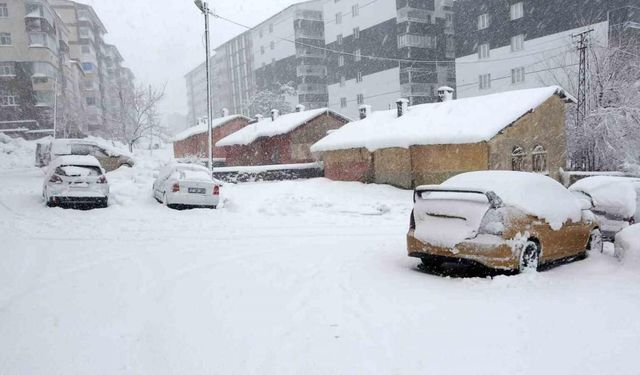 Bitlis’te 75 köy yolu ulaşıma kapandı, okullar 1 gün tatil edildi