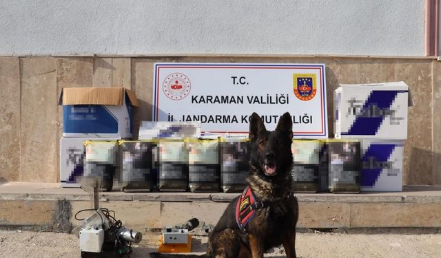 Jandarma’dan kaçak tütün operasyonu: 2 tutuklama