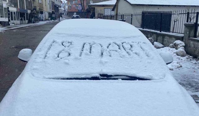 Karlıova’da vatandaşlar yeni güne karla uyandı