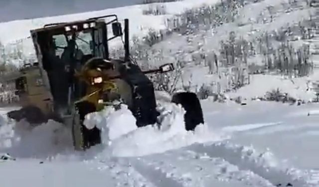 Mutki’de karla mücadele çalışmaları