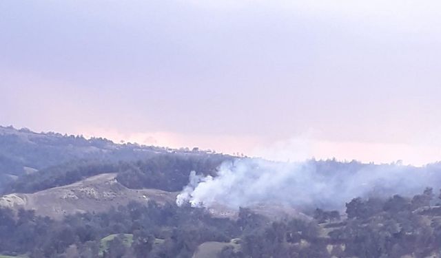 Osmaniye’de yıldırım düşen ormanlık alanda yangın çıktı