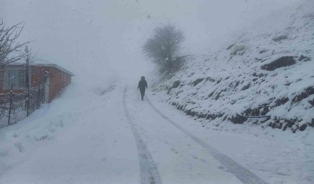 Tunceli’nin yüksek kesimlerinde kar yağışı etkili olmaya başladı