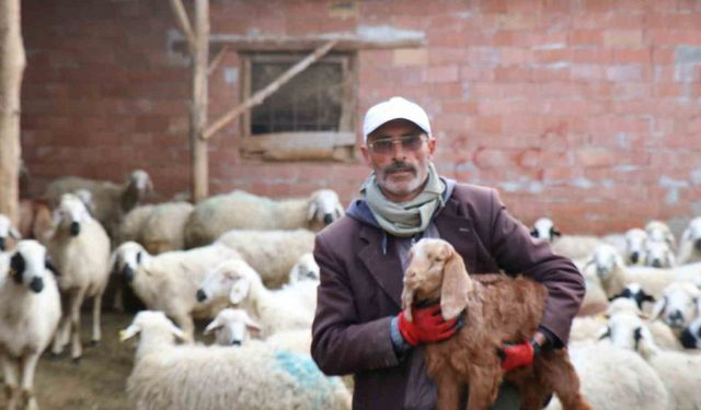 Sağlık Bakanına şiir yazan çoban muhtarlığı kaybedince akrabalarına sitem etti
