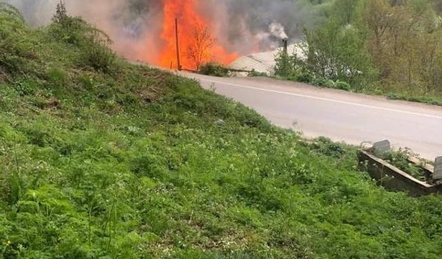 Sinop’ta 2 ev yanarak kül oldu