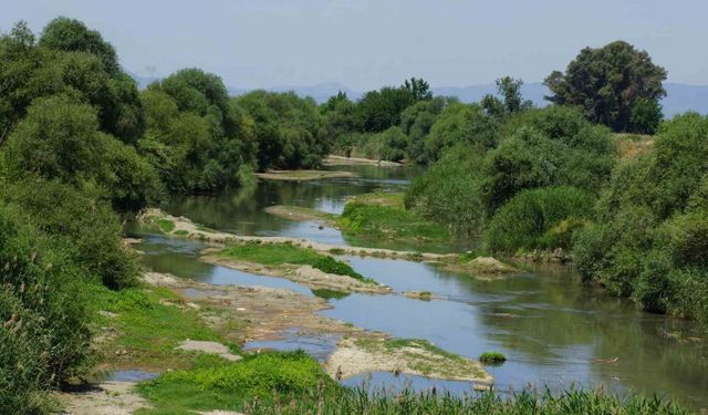 Batı Anadolu’nun en büyük nehri suya hasret kaldı