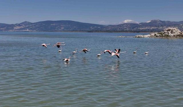 Burdur Gölü’nü besleyen yer altı su kaynakları su kuşlarına ev sahipliği yapıyor