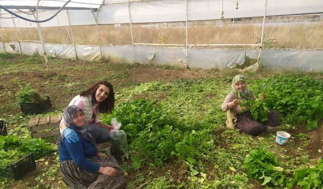Eskişehir’de sağlıklı tarımsal üretim çalışmaları devam ediyor