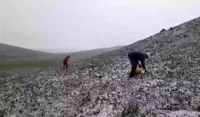 Tunceli’de mayısın ortasında kar yağdı