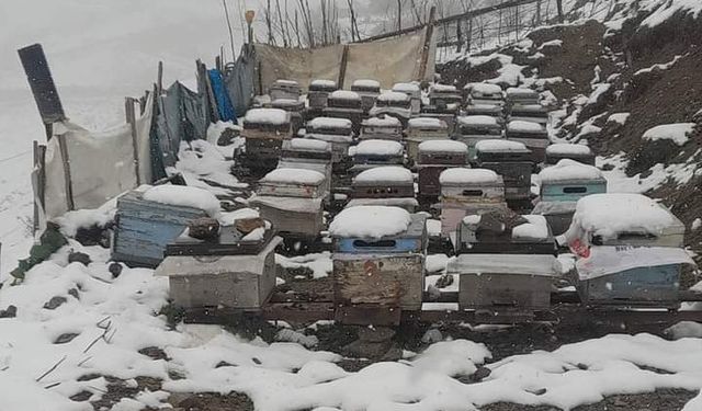 Mayıs ayının ortasında Anzer Yaylası’na çıkan vatandaşların kar şaşkınlığı