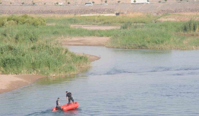 Dicle Nehrinde boğulma tehlikesi geçiren iki kişiyi vatandaşlar kurtardı