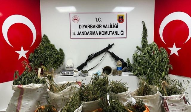 Diyarbakır’da 177 bin 495 kök kenevir ve skunk bitkisi ele geçirildi