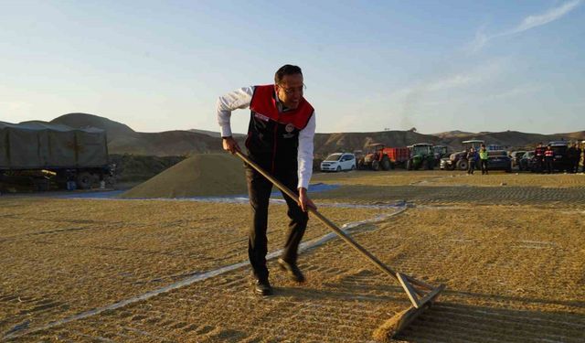 Bakan Yardımcısı Gizligider Çankırı’da çeltik hasadına katıldı