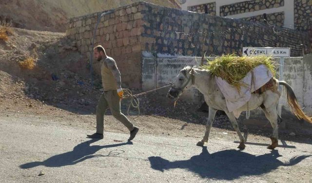 Gercüş’te imece usulü orakla pirinç hasadı