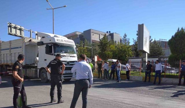 Mardin’de tırın çarptığı kadın hayatını kaybetti