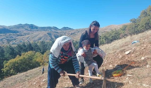 Tunceli’de bin meşe palamudu toprakla buluşturuldu