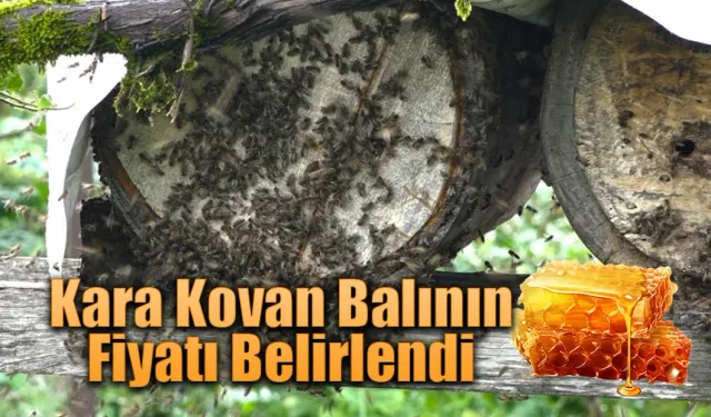 Rize’de karakovan balının hasadı tamamlandı, fiyatı belirlendi