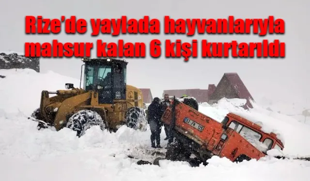 Rize’de yaylada hayvanları ile mahsur kalan 6 kişi kurtarıldı