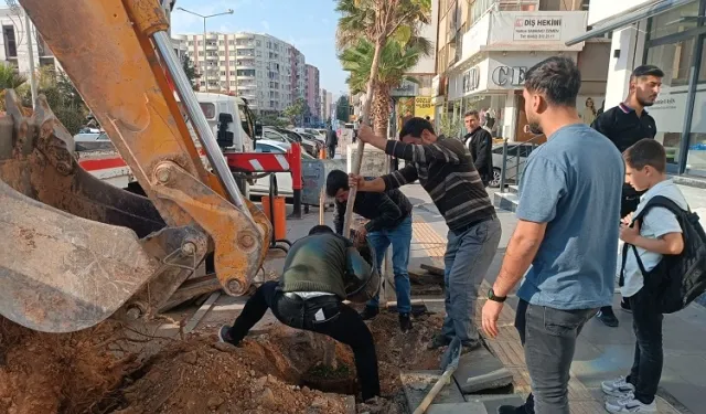 Mardin’de ağaç kesenler fidan dikti