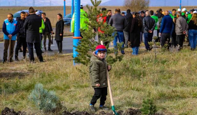 Ardahan’da 500 adet fidan toprakla buluştu