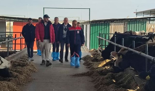 Aydın’da AB’ye ihracat onaylı çiftliklerde incelemelerde bulunuldu