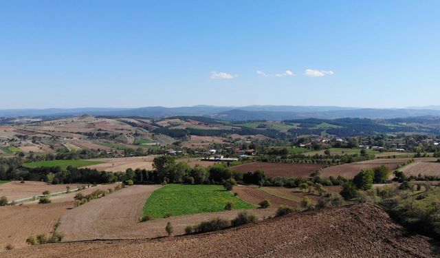 Bilinçli tarım meyvesini verdi: Çeltik hasadında rekor verim