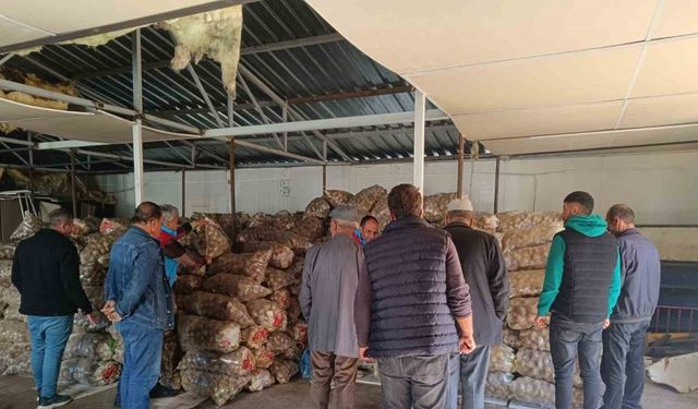 Bitlisli çiftçilerden alınan 193 ton patates ihtiyaç sahiplerine dağıtıldı