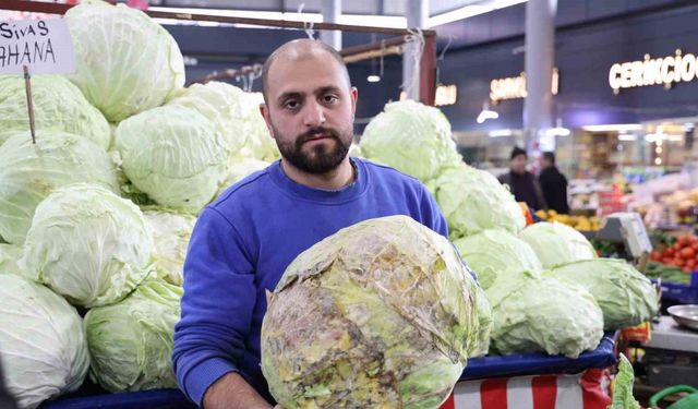 Dev lahanalara nazar değil, büyümeyen lahanalar tarlada kaldı