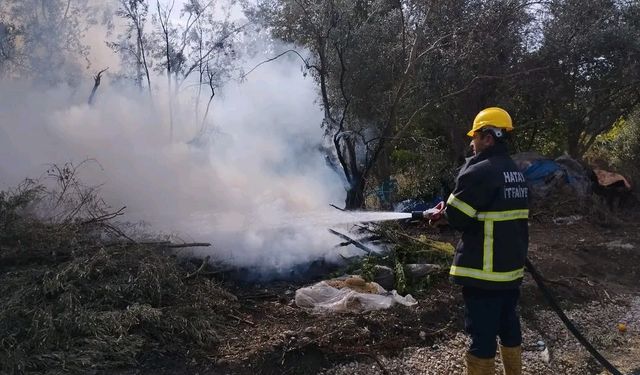 Erzin’de zeytin bahçesinde çıkan yangın söndürüldü